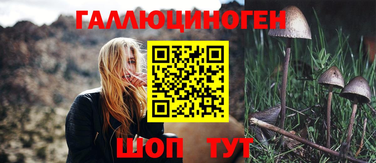Гусь-Хрустальный  Псилоцибиновые грибы MAGIC MUSHROOMS  Вход с VPN  Псилоцибиновые грибы мухоморы 